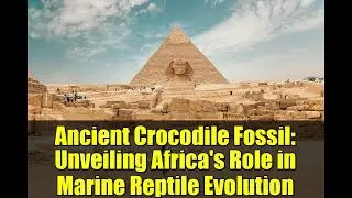Ancient Crocodile Fossil: Unveiling Africa's Role in Marine Reptile Evolution