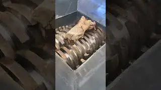 Shredding Tree Root| Shredder vs Root