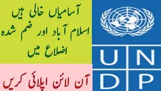 UNDP Jobs in Pakistan 2023 | Research officer Procurement officer UN Pakistan jobs 2023
