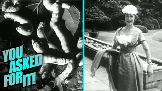 The Art of Japanese Silk Making (1959) | You Asked For It