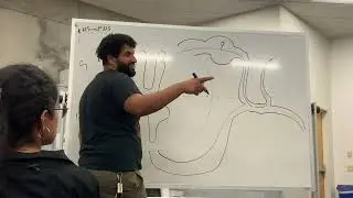 BIOL 230 anatomy - nervous system, exam 3 (tracing the nerves- PNS sensory/motor) w/ Hamad