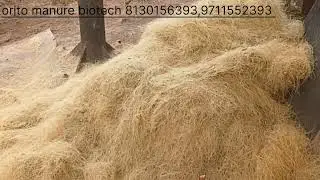 Coconut coir fiber processing by Orito Manure Biotech #coir #fiber #cocofiber #coconut #cocopeat 