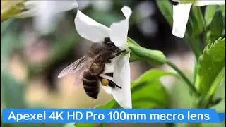 APEXEL 4K HD Pro 100mm Macro Lens CB230