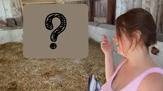 Первые *НЕОЖИДАННЫЕ* животные на нашей новой ферме