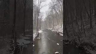 Snow Falling on the Winter Creek