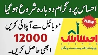 Ehsas kafalt program m online apply How To apply online in ehsas