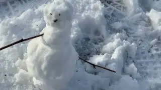 2026 01 05 Veel sneeuwvrouwen en  -mannen in het Oosterpark