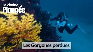 [EXPLORATION] 😎 Plongée CCR à 60m