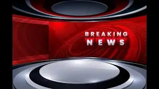Animal news episode three liter man