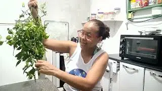 CUNHADA TROUXE PIMENTA PRA NÓS, MAIS NA DIVISÃO TEVE ARERÊ KKKK.😂