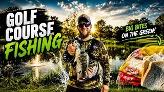 ⚡Golf Course Fishing⚡ at its BEST(Rustenburg Golf Course)