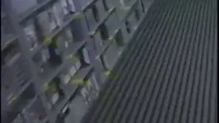 Dimple Records- Roseville Store Walkthrough & Dilyn 1988