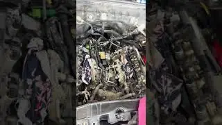 Audi Q5 oil filter housing gasket change #automobile#carrepairtools