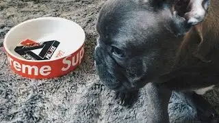 THE BIGGEST HYPEBEAST EVER!!