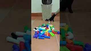 #Pipe Blocks Madness#Watch Us Nail Every Basket Compilation