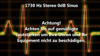1730 Hz Sinus Ton Test 0dB Stereo Piepton Wave Ton