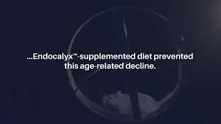 Targeting Glycocalyx to Prevent Age-Related Muscle Loss and Strength Decline | Aging-US