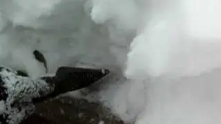 Leafsolution winter 021