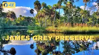 Walking James E. Grey Preserve | New Port Richey, FL
