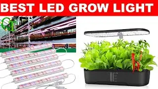 Top 5 Best LED Grow Light in 2025 on AliExpress
