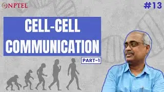 #13 Cell-cell Communication | Part 1 | Introduction to Developmental Biology