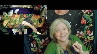 WFYM  Kitten Tarot Shameless Clickbait + Kitten Rant