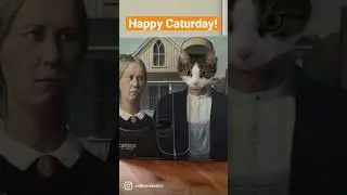 Happy #caturday! 😻😹 #cats #cat