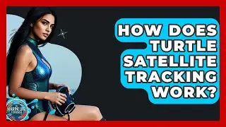 How Does Turtle Satellite Tracking Work? - The Marine Life Explorer