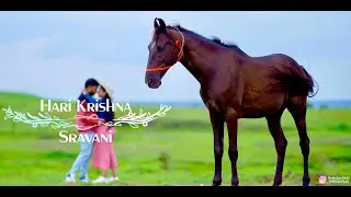 Ananthagiri hills prewedding shoot vikarabad || 4k || cinematic prewedding