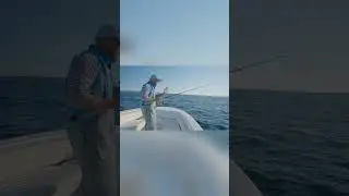 Albie Daily Tip - Drift for Success #fishingexpedition #fishingtechniques #catchyhooks #fish