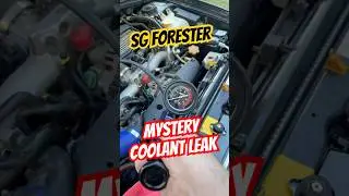 SG Forester Mystery Coolant Leak