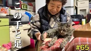 【キヨと祖母】この手と足が可愛くて、何度も何度も言ってしまう祖母