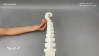 This Flexible Robot Can Lift 260x Its Own Weight