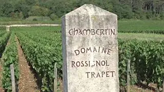 The &lsquo;Route des grand crus&rsquo; wine of Bourgogne