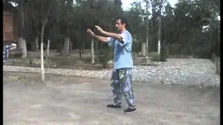 YI QUAN: Mo Ca Bu  Par / By Ilias Calimintzos