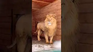 Завтракаем активно