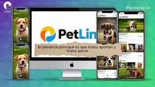 App PetLink
