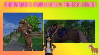 Compro il  nuovo cavallo della foresta nera!! (SSO)