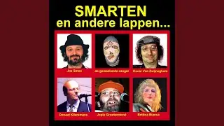 't Komt allemaal door de liefde (feat. Donaat Klieremans)
