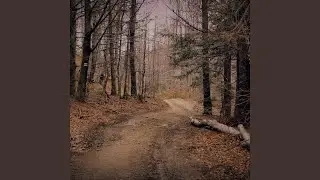 En Automne