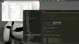 Performant Joomla, Session 1, Auditing