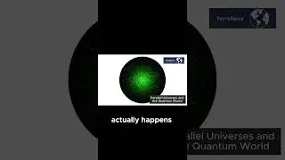 The Many Worlds Interpretation - A Bold Quantum Statement