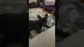 my piddlin partners taking a break