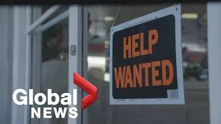 Why Canada's job vacancy rates are at a record high