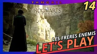 LES FRÈRES ENEMIS [ Hogwarts Legacy ]  Let's play FR #14