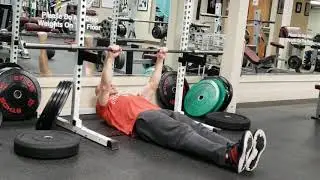 REVERSE PUSHUP DAMAGE/BALANCE w/ PUSHUPS, strengthen POSTURE- Barbell Bodyweight Row