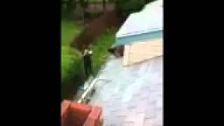 Animal raccoon coming out of the chimney