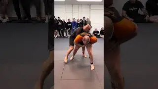 Pedro Santana South Coast Regional Championship 8/2/25, Nogi / Purple / +90kg