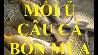 Mồi ủ giang truong Fishing c&acirc;u bốn m&ugrave;a c&aacute;c loại c&aacute; nước ngọt si&ecirc;u hiệu quả