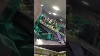 Modular Plastic Belt Conveyor |Modular Conveyor Belts | Skygrip Automation